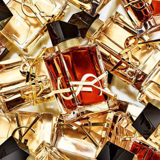 ysl cologne le parfum