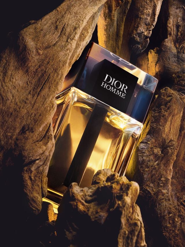 dior male perfumes