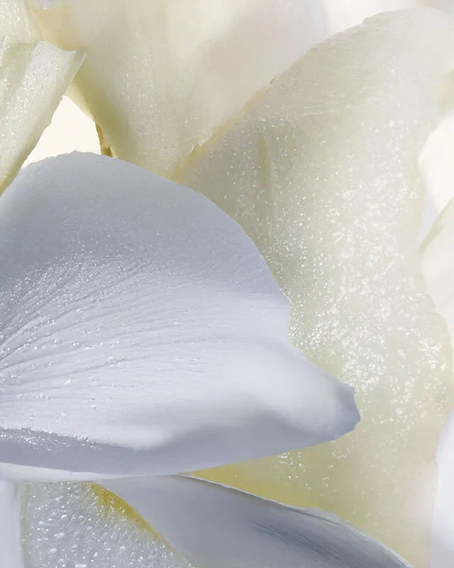 dior j adore for women