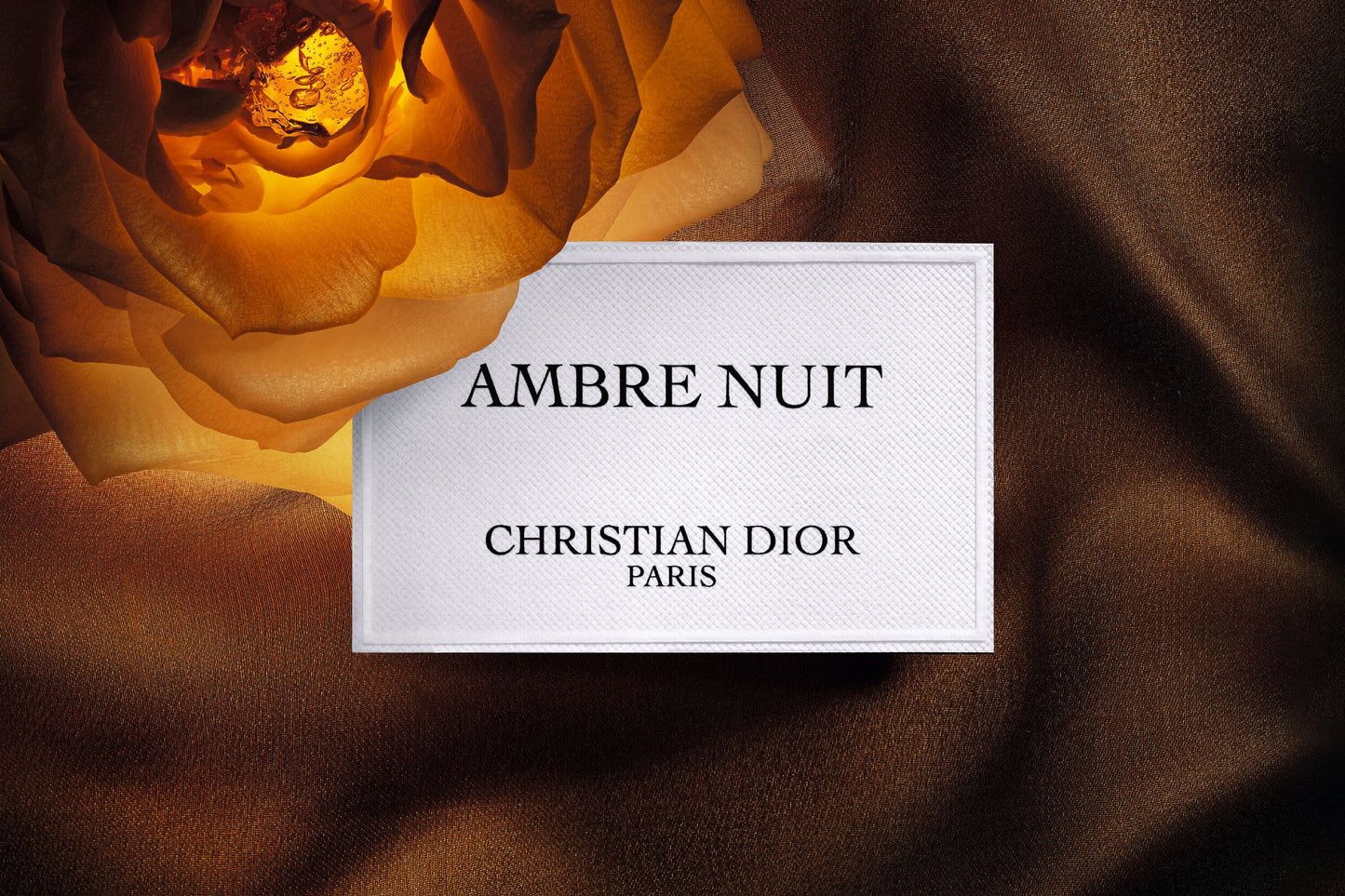 christian dior ambre nuit